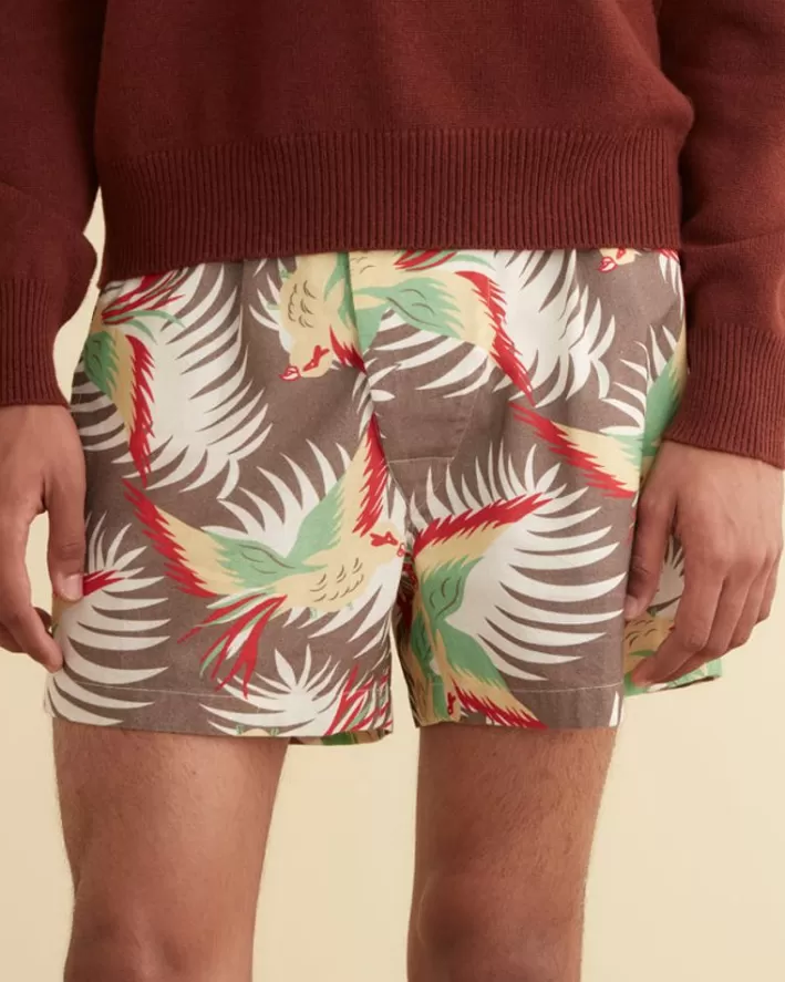 Men BODE Shorts<Sun Conure Boxers